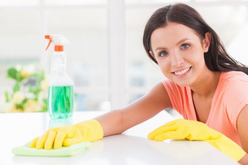 Professional cleaners in NW2 working in a modern home
