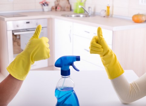 Local cleaning service in NW2 preparing a spotless kitchen