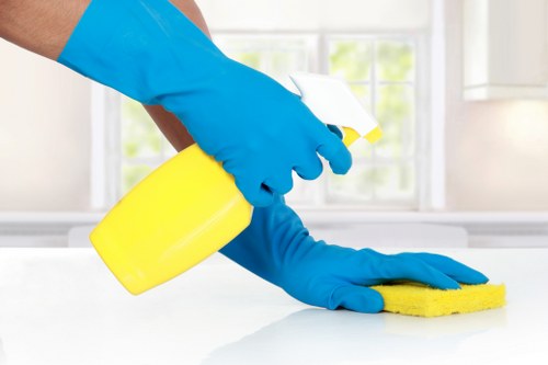 Deep cleaning service in NW2 for a tidy living room