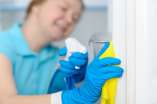 Experienced cleaners in NW2 handling deep cleaning tasks