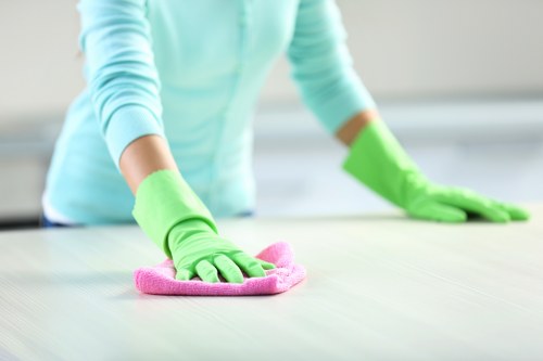 Eco-friendly cleaners in NW2 using safe cleaning products